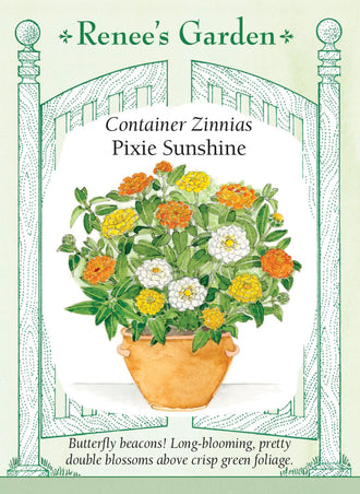 Visuel officiel de Renee's Garden associé aux semences de Zinnias nains en mélange Pixie Sunshine, référence RN5837. Les plantes compactes atteignent environ 20 à 30 cm (8 à 12 po). Le mélange associe des fleurs doubles jaune beurre, orange et blanches, d’environ 5 à 8 cm (2 à 3 po). Il convient aux contenants et aux bordures basses.