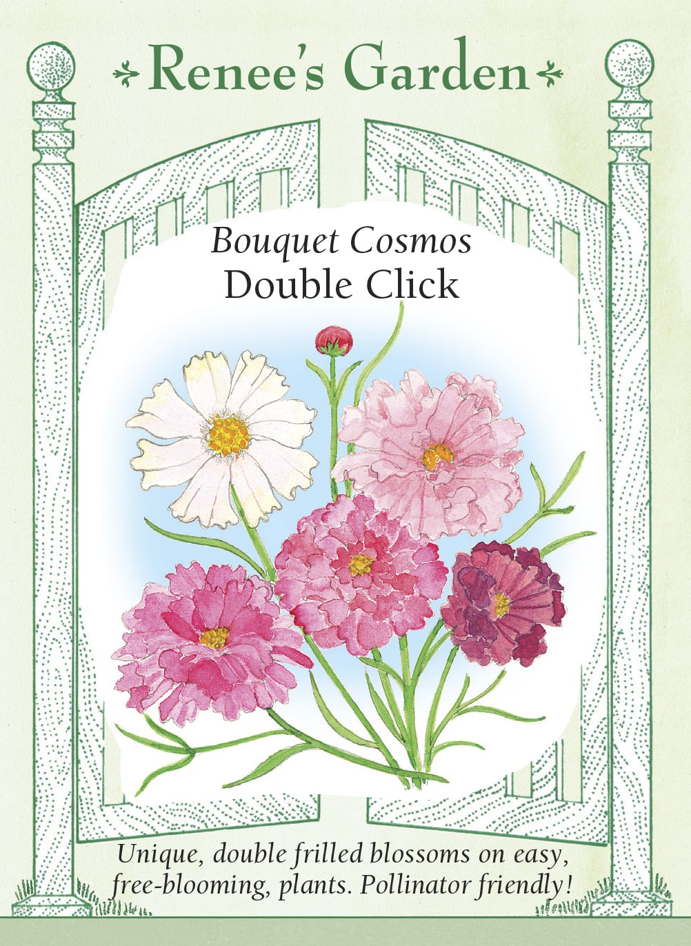 Visuel officiel de Renee's Garden associé aux semences de Cosmos en mélange Double Click, référence RN5839. Ce mélange porte des fleurs semi-doubles ou doubles de 5 à 8 cm (2 à 3 po), dans des tons rouges, roses et blancs. Les centres sont jaunes. Le semencier souligne les longues tiges et l’intérêt des fleurs pour la coupe. Le feuillage fin apporte un contraste avec les corolles fournies.