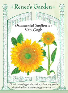 Visuel officiel de Renee's Garden associé aux semences de Tournesol ‘Van Gogh’, référence RN5842. Les pétales jaune vif entourent un disque doré dont le centre vert devient chocolat en mûrissant. Les plantes produisent une tige principale et fleurissent tôt. Les fleurs sans pollen sont adaptées à la coupe. Cette image accompagne la fiche de cette sélection et permet de repérer le produit correspondant dans le catalogue de semences.