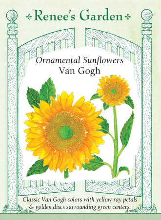 Visuel officiel de Renee's Garden associé aux semences de Tournesol ‘Van Gogh’, référence RN5842. Les pétales jaune vif entourent un disque doré dont le centre vert devient chocolat en mûrissant. Les plantes produisent une tige principale et fleurissent tôt. Les fleurs sans pollen sont adaptées à la coupe. Cette image accompagne la fiche de cette sélection et permet de repérer le produit correspondant dans le catalogue de semences.