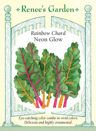 Visuel officiel de Renee's Garden pour les semences « Bette à carde en mélange Neon Glow », référence RN5845. Ce mélange met en valeur des côtes magenta et dorées sous des feuilles vert foncé, gaufrées. Le semencier décrit une saveur douce et un intérêt décoratif qui permet d’utiliser les plants dans les plates-bandes comme au potager. Les couleurs se répartissent entre les plants; il ne faut donc pas attendre exactement la même apparence de chaque semis.