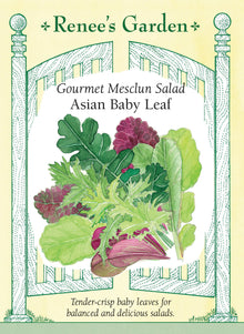 Visuel officiel de Renee's Garden pour les semences « Verdure asiatique en mélange pour jeunes feuilles », référence RN5846. Ce mélange associe du komatsuna, du mizuna, des moutardes vertes et rouges douces, de la roquette, du tatsoï et du chou chinois. Le semencier propose une récolte à environ 10 à 15 cm (4 à 6 po) de hauteur. Les feuilles offrent une combinaison de formes, de couleurs et de textures pour les salades.