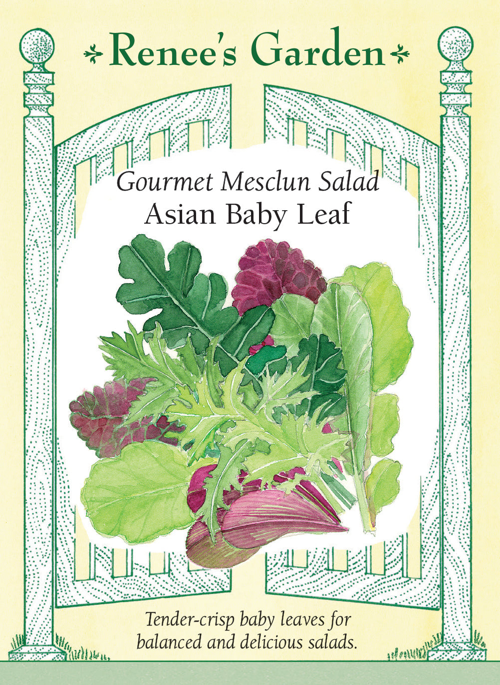 Visuel officiel de Renee's Garden pour les semences « Verdure asiatique en mélange pour jeunes feuilles », référence RN5846. Ce mélange associe du komatsuna, du mizuna, des moutardes vertes et rouges douces, de la roquette, du tatsoï et du chou chinois. Le semencier propose une récolte à environ 10 à 15 cm (4 à 6 po) de hauteur. Les feuilles offrent une combinaison de formes, de couleurs et de textures pour les salades.
