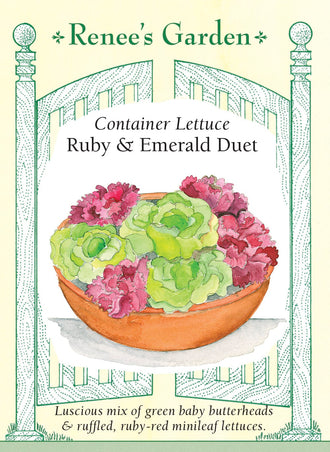 Visuel officiel de Renee's Garden pour les semences « Laitues en mélange Ruby et Emerald Duet », référence RN5848. Ce duo associe une petite laitue pommée vert émeraude à une mini laitue à feuilles rouges, frisées et croquantes. Les pommes atteignent environ 13 à 15 cm (5 à 6 po), selon le semencier. Le mélange est proposé pour les planches potagères et les grands pots. Les deux composantes apportent des textures et des couleurs contrastées.