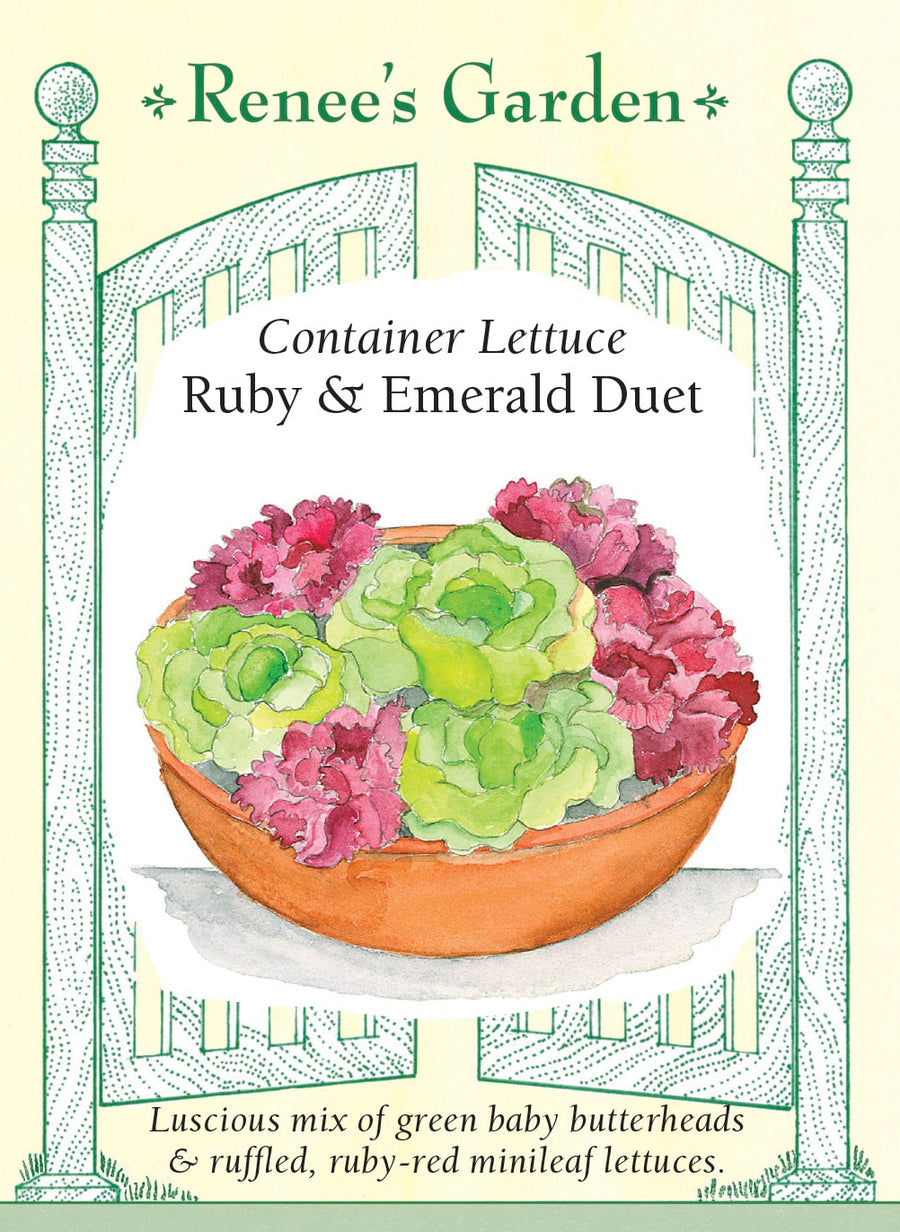 Visuel officiel de Renee's Garden pour les semences « Laitues en mélange Ruby et Emerald Duet », référence RN5848. Ce duo associe une petite laitue pommée vert émeraude à une mini laitue à feuilles rouges, frisées et croquantes. Les pommes atteignent environ 13 à 15 cm (5 à 6 po), selon le semencier. Le mélange est proposé pour les planches potagères et les grands pots. Les deux composantes apportent des textures et des couleurs contrastées.