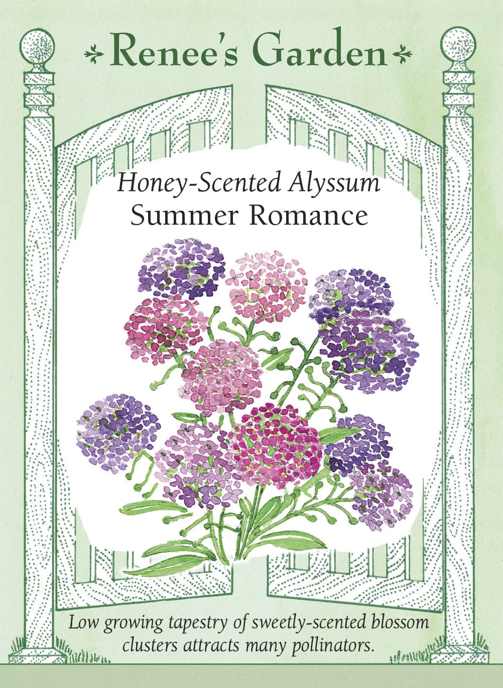 Visuel officiel de Renee's Garden associé aux semences d’alysses en mélange Summer Romance, référence RN5850. Ce mélange porte des fleurs lavande, violettes, roses et blanches sur des plants d’environ 10 à 15 cm (4 à 6 po). Le semencier décrit un parfum agréable et une floraison prolongée. Le port bas permet de couvrir les espaces en bordure ou de compléter des plantations en contenant.