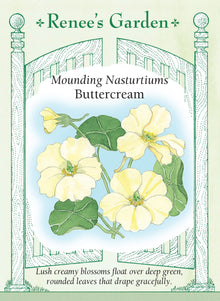 Visuel officiel de Renee's Garden associé aux semences de Capucine ‘Buttercream’, référence RN5852. Les fleurs semi-doubles de couleur crème dominent des feuilles rondes d’un vert soutenu. La plante forme une touffe souple qui déborde des jardinières et adoucit les contours des plates-bandes. Les fleurs et les feuilles peuvent servir de garnitures comestibles.