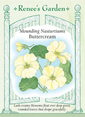 Visuel officiel de Renee's Garden associé aux semences de Capucine ‘Buttercream’, référence RN5852. Les fleurs semi-doubles de couleur crème dominent des feuilles rondes d’un vert soutenu. La plante forme une touffe souple qui déborde des jardinières et adoucit les contours des plates-bandes. Les fleurs et les feuilles peuvent servir de garnitures comestibles.