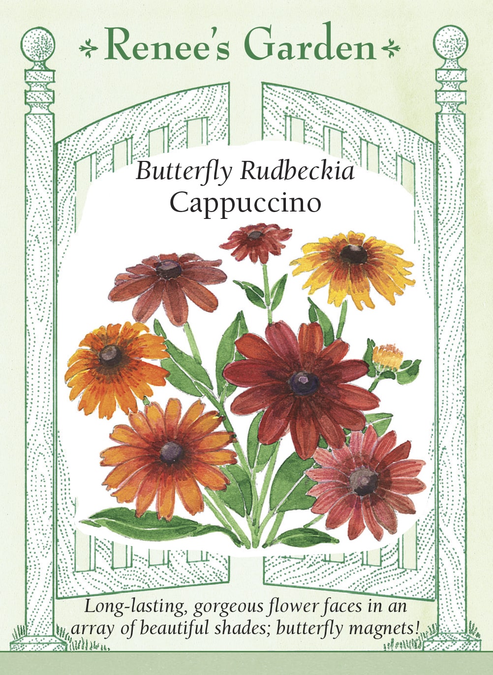 Visuel officiel de Renee's Garden associé aux semences de Rudbeckies en mélange Cappuccino, référence RN5853. Les grandes fleurs présentent des combinaisons de rouge, de jaune, d’acajou et de brun roux. Cette sélection peut fleurir dès la première saison à partir du semis. Les fleurs attirent les papillons et se prêtent à la coupe pour les bouquets.