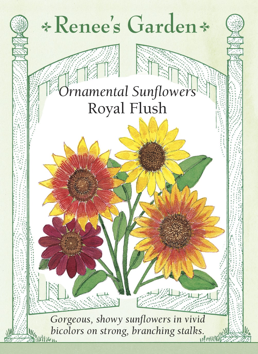 Visuel officiel de Renee's Garden associé aux semences de Tournesols en mélange Royal Flush, référence RN5854. Ce mélange comprend des fleurs acajou à pointes dorées, des fleurs jaunes et des fleurs rouge foncé. Les tiges ramifiées portent plusieurs capitules et permettent de composer des bouquets aux couleurs contrastantes. La floraison est annoncée comme précoce par le semencier.