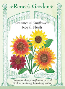 Visuel officiel de Renee's Garden associé aux semences de Tournesols en mélange Royal Flush, référence RN5854. Ce mélange comprend des fleurs acajou à pointes dorées, des fleurs jaunes et des fleurs rouge foncé. Les tiges ramifiées portent plusieurs capitules et permettent de composer des bouquets aux couleurs contrastantes. La floraison est annoncée comme précoce par le semencier.