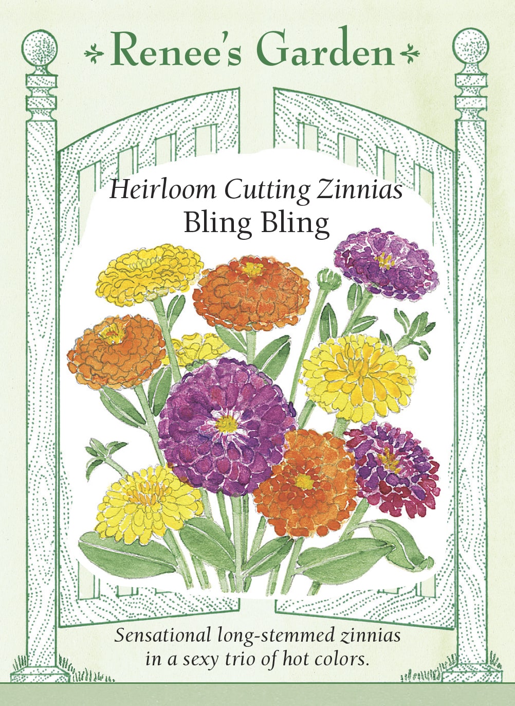 Visuel officiel de Renee's Garden associé aux semences de Zinnias en mélange Bling Bling, référence RN5855. Ce mélange associe des fleurs doubles orange vif, jaune lumineux et violet pourpre. Les plantes ramifiées atteignent environ 1,1 m (3½ pi). Leurs longues tiges fournissent des fleurs à couper aux couleurs contrastantes. Cette image accompagne la fiche de cette sélection et permet de repérer le produit correspondant dans le catalogue de semences.