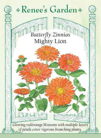 Visuel officiel de Renee's Garden associé aux semences de Zinnia ‘Mighty Lion’, référence RN5856. Les fleurs rouge orangé sont doubles et mesurent environ 10 à 13 cm (4 à 5 po). Leurs nombreux pétales forment des corolles denses. Les plantes ramifiées attirent les papillons et produisent des fleurs adaptées à la coupe.