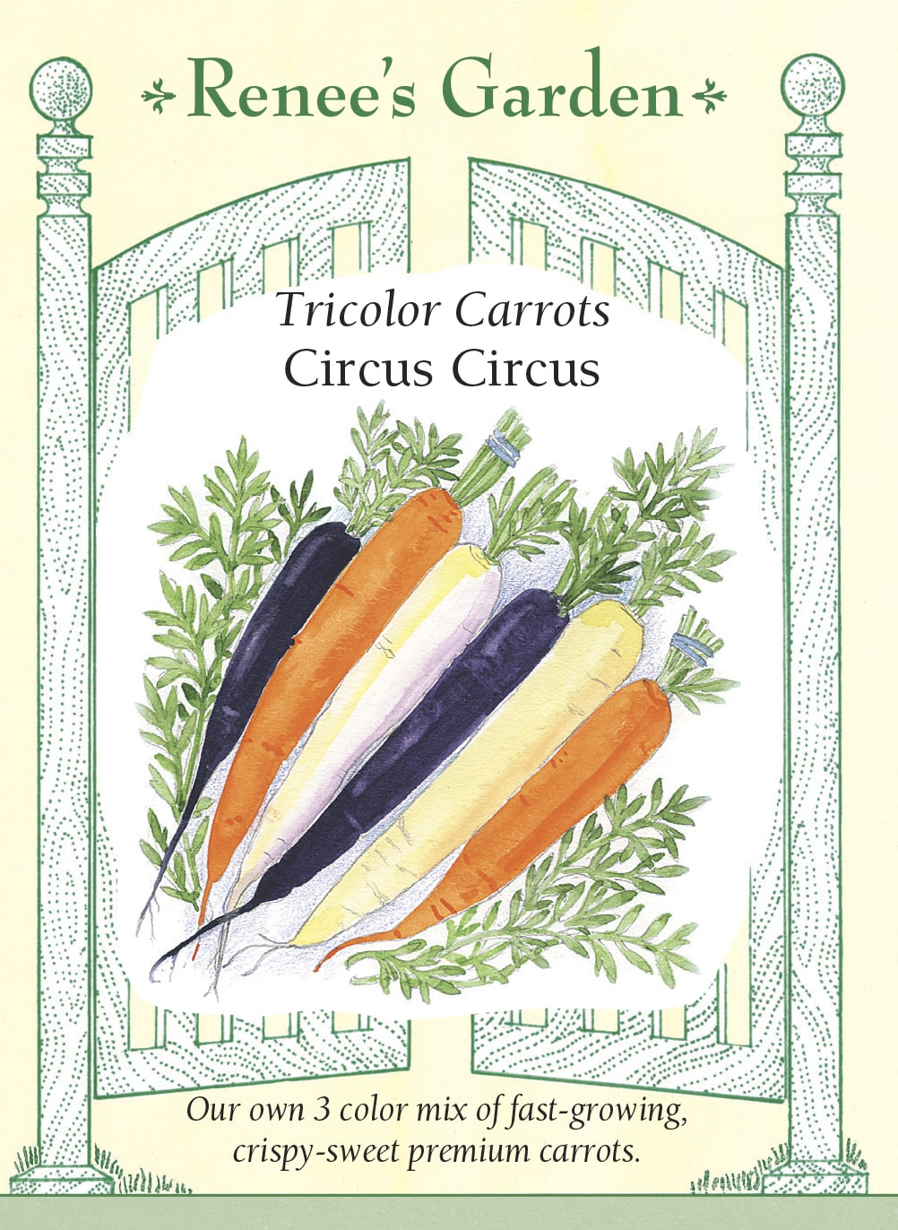 Visuel officiel de Renee's Garden pour les semences « Carottes en mélange Circus Circus », référence RN5858. Ce mélange contient à parts égales ‘White Satin F1’, ‘Mokum F1’ et ‘Purple Rain F1’. Les racines sont blanches, orange ou pourpres à cœur orange. Leur forme est cylindrique et leur longueur peut atteindre environ 20 cm (8 po), selon le semencier. Les trois couleurs se prêtent aux crudités et aux salades râpées, avec une texture croquante et une saveur douce.