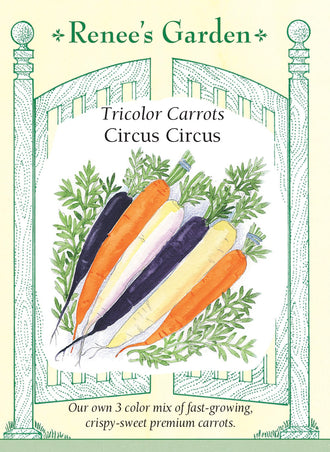Visuel officiel de Renee's Garden pour les semences « Carottes en mélange Circus Circus », référence RN5858. Ce mélange contient à parts égales ‘White Satin F1’, ‘Mokum F1’ et ‘Purple Rain F1’. Les racines sont blanches, orange ou pourpres à cœur orange. Leur forme est cylindrique et leur longueur peut atteindre environ 20 cm (8 po), selon le semencier. Les trois couleurs se prêtent aux crudités et aux salades râpées, avec une texture croquante et une saveur douce.