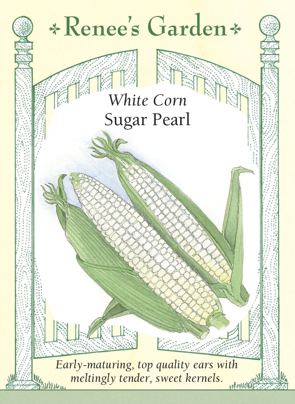 Visuel officiel de Renee's Garden pour les semences « Maïs sucré ‘Sugar Pearl’ », référence RN5859. Ce maïs blanc précoce développe des tiges d’environ 1,5 à 1,7 m (5 à 5,5 pi). Les épis portent des grains blanc nacré, décrits comme tendres et sucrés. Le semencier propose cette sélection pour les débuts de saison et les étés relativement courts. Les épis se récoltent au stade de maïs sucré frais, avant le durcissement complet des grains.