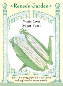 Visuel officiel de Renee's Garden pour les semences « Maïs sucré ‘Sugar Pearl’ », référence RN5859. Ce maïs blanc précoce développe des tiges d’environ 1,5 à 1,7 m (5 à 5,5 pi). Les épis portent des grains blanc nacré, décrits comme tendres et sucrés. Le semencier propose cette sélection pour les débuts de saison et les étés relativement courts. Les épis se récoltent au stade de maïs sucré frais, avant le durcissement complet des grains.