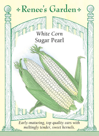Visuel officiel de Renee's Garden pour les semences « Maïs sucré ‘Sugar Pearl’ », référence RN5859. Ce maïs blanc précoce développe des tiges d’environ 1,5 à 1,7 m (5 à 5,5 pi). Les épis portent des grains blanc nacré, décrits comme tendres et sucrés. Le semencier propose cette sélection pour les débuts de saison et les étés relativement courts. Les épis se récoltent au stade de maïs sucré frais, avant le durcissement complet des grains.