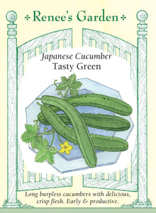 Visuel officiel de Renee's Garden pour les semences « Concombre ‘Tasty Green’ », référence RN5860. Ce concombre de type japonais produit des fruits minces d’environ 25 à 30 cm (10 à 12 po). Leur peau est fine et leur chair juteuse, croquante et douce. Les tiges sont décrites comme vigoureuses et précoces. La variété est monoïque. Les longs fruits se prêtent aux salades et aux tranches fraîches, sans nécessiter systématiquement l’épluchage d’une peau tendre.