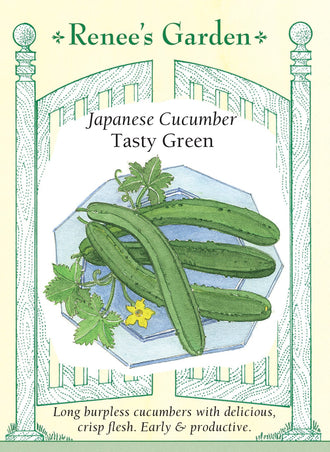 Visuel officiel de Renee's Garden pour les semences « Concombre ‘Tasty Green’ », référence RN5860. Ce concombre de type japonais produit des fruits minces d’environ 25 à 30 cm (10 à 12 po). Leur peau est fine et leur chair juteuse, croquante et douce. Les tiges sont décrites comme vigoureuses et précoces. La variété est monoïque. Les longs fruits se prêtent aux salades et aux tranches fraîches, sans nécessiter systématiquement l’épluchage d’une peau tendre.