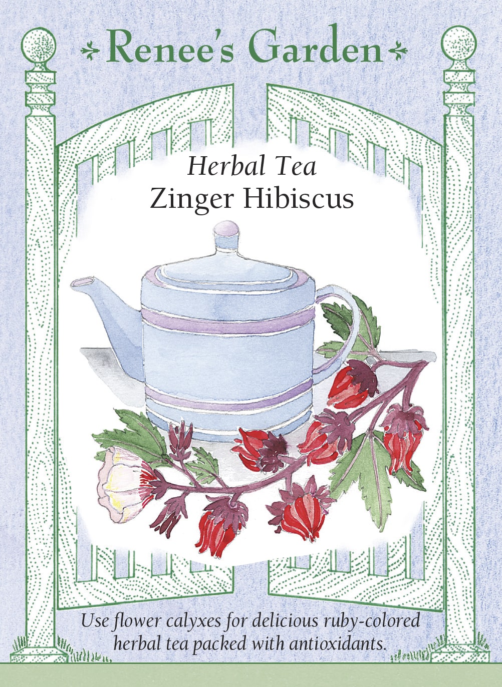Visuel officiel de Renee's Garden associé aux semences de Roselle ‘Zinger’, référence RN5867. Cette roselle appartient à Hibiscus sabdariffa. Elle porte des feuilles lobées et des fleurs crème, suivies de calices charnus en forme de goutte. Le semencier propose de récolter et de sécher les calices pour une infusion rouge rubis, à saveur acidulée rappelant la canneberge. La partie utilisée doit être distinguée des pétales.