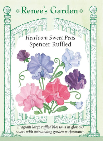 Visuel officiel de Renee's Garden associé aux semences de Pois de senteur en mélange Spencer Ruffled, référence RN5868. Ce mélange de pois de senteur de type Spencer porte de grandes fleurs aux pétales ondulés. Les couleurs variées et les longs pédoncules permettent de composer des bouquets parfumés. Les plantes grimpantes offrent aussi une floraison décorative sur les supports.