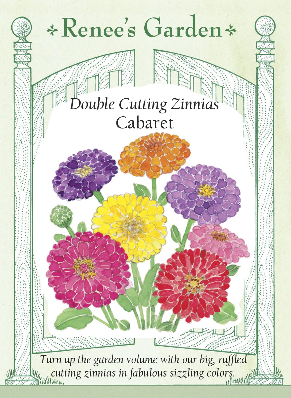 Visuel officiel de Renee's Garden associé aux semences de Zinnias en mélange Cabaret, référence RN5871. Ce mélange de grandes fleurs doubles présente des tons rose vif, pourpres, lilas, magenta, orange soutenu et jaunes. Les plantes ramifiées produisent de longues tiges. Les fleurs peuvent être cueillies pour composer des bouquets colorés. Cette image accompagne la fiche de cette sélection et permet de repérer le produit correspondant dans le catalogue de semences.