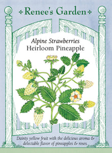 Visuel officiel de Renee's Garden associé aux semences de Fraisier des bois ‘Pineapple’, référence RN5875. Ce fraisier alpin porte de petites fraises jaune pâle et pointues, autour de 2,5 cm (1 po). Le semencier décrit un parfum évoquant l’ananas et la rose. Les plants forment des touffes sans stolons et peuvent produire dès la première saison. Les fruits mûrs restent clairs, contrairement à ceux d’un fraisier rouge.
