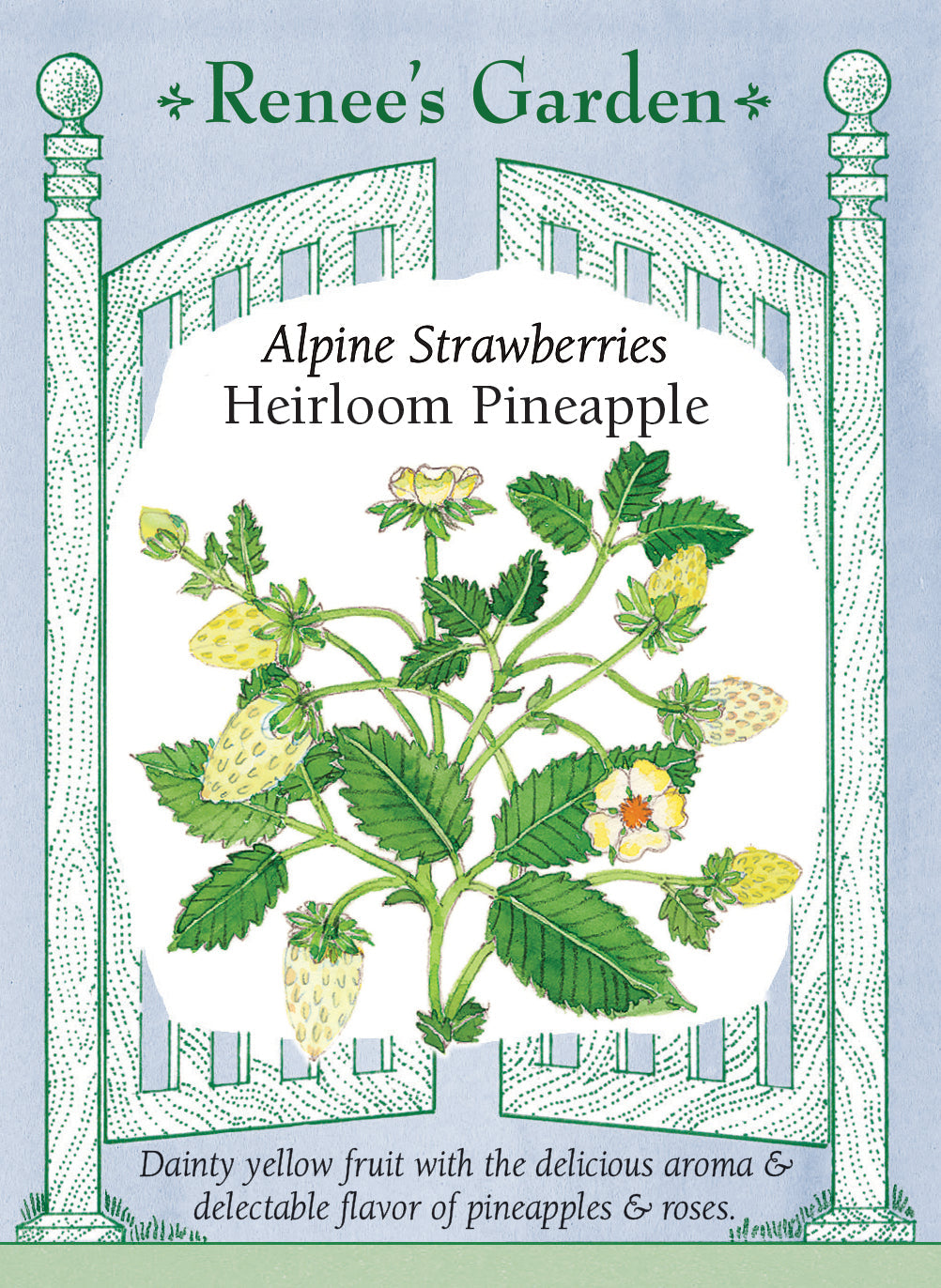 Visuel officiel de Renee's Garden associé aux semences de Fraisier des bois ‘Pineapple’, référence RN5875. Ce fraisier alpin porte de petites fraises jaune pâle et pointues, autour de 2,5 cm (1 po). Le semencier décrit un parfum évoquant l’ananas et la rose. Les plants forment des touffes sans stolons et peuvent produire dès la première saison. Les fruits mûrs restent clairs, contrairement à ceux d’un fraisier rouge.