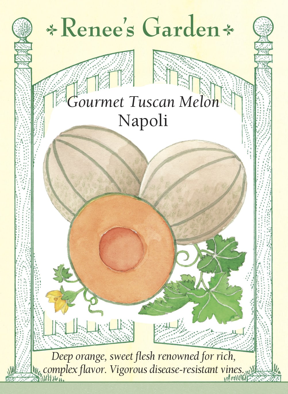 Visuel officiel de Renee's Garden pour les semences « Melon ‘Napoli’ », référence RN5877. Ce melon italien forme des fruits à peau réticulée d’environ 0,9 à 1,4 kg (2 à 3 lb). La chair orange foncé entoure une petite cavité à graines. Le semencier souligne une maturation précoce, une saveur douce et un parfum complexe. Les fruits conviennent aux collations et aux desserts frais.