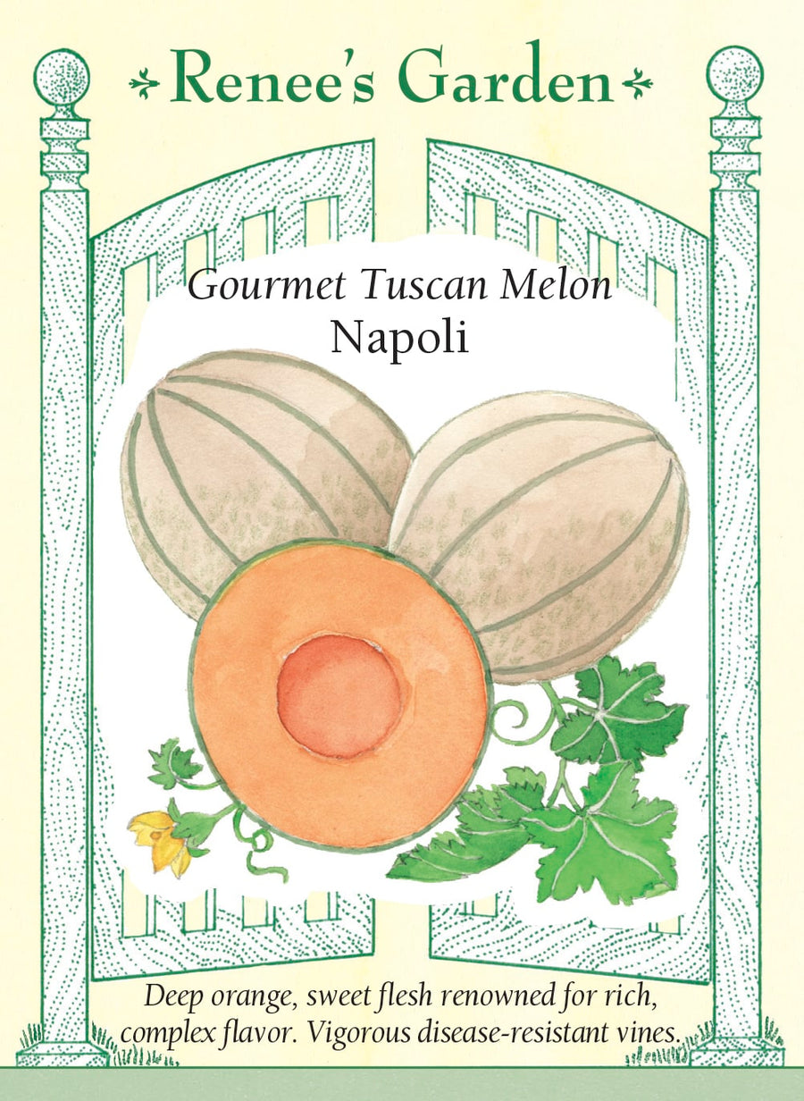Visuel officiel de Renee's Garden pour les semences « Melon ‘Napoli’ », référence RN5877. Ce melon italien forme des fruits à peau réticulée d’environ 0,9 à 1,4 kg (2 à 3 lb). La chair orange foncé entoure une petite cavité à graines. Le semencier souligne une maturation précoce, une saveur douce et un parfum complexe. Les fruits conviennent aux collations et aux desserts frais.
