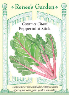 Visuel officiel de Renee's Garden pour les semences « Bette à carde ‘Peppermint Stick’ », référence RN5879. Les côtes roses et blanches de cette bette à carde forment des rayures qui contrastent avec ses feuilles vert vif. Le semencier propose de récolter certaines feuilles jeunes, puis de laisser les plants prendre du volume. Il souligne aussi une bonne tenue par temps chaud. Le feuillage permet d’intégrer cette plante comestible à une planche potagère ou à un aménagement décoratif.