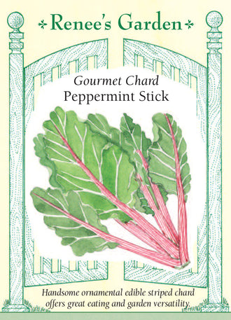 Visuel officiel de Renee's Garden pour les semences « Bette à carde ‘Peppermint Stick’ », référence RN5879. Les côtes roses et blanches de cette bette à carde forment des rayures qui contrastent avec ses feuilles vert vif. Le semencier propose de récolter certaines feuilles jeunes, puis de laisser les plants prendre du volume. Il souligne aussi une bonne tenue par temps chaud. Le feuillage permet d’intégrer cette plante comestible à une planche potagère ou à un aménagement décoratif.