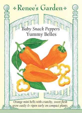 Visuel officiel de Renee's Garden pour les semences « Mini-poivron ‘Yummy Belles’ », référence RN5881. Cette sélection produit de petits poivrons d’environ 8 à 10 cm (3 à 4 po), à chair épaisse et juteuse. Les fruits deviennent orange vif à maturité. Le semencier souligne une production précoce. Leur saveur douce convient aux collations, aux salades et aux préparations grillées.