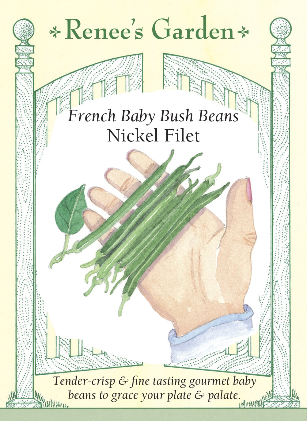 Visuel officiel de Renee's Garden pour les semences « Haricot nain ‘Nickel’ », référence RN5882. Ce haricot de type filet forme de petites gousses vertes, tendres et minces. Elles se récoltent à environ 8 à 10 cm (3 à 4 po) de longueur, pour un diamètre voisin de 6 mm (1/4 po). Les plants sont compacts et robustes. Une cuisson courte permet de conserver la texture des gousses, qui peuvent être servies entières avec des fines herbes.