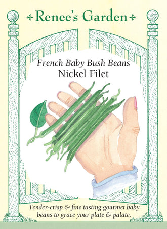 Visuel officiel de Renee's Garden pour les semences « Haricot nain ‘Nickel’ », référence RN5882. Ce haricot de type filet forme de petites gousses vertes, tendres et minces. Elles se récoltent à environ 8 à 10 cm (3 à 4 po) de longueur, pour un diamètre voisin de 6 mm (1/4 po). Les plants sont compacts et robustes. Une cuisson courte permet de conserver la texture des gousses, qui peuvent être servies entières avec des fines herbes.