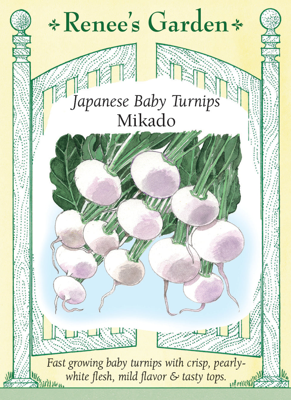 Visuel officiel de Renee's Garden pour les semences « Navet ‘Mikado’ », référence RN5884. ‘Mikado’ produit de petits navets ronds, à chair blanc nacré et croquante. Le semencier décrit une croissance rapide et une saveur douce. Les racines peuvent être tranchées pour les salades ou cuites rapidement. Les feuilles sont aussi proposées comme verdure à cuire. Cette référence correspond bien à un navet miniature.