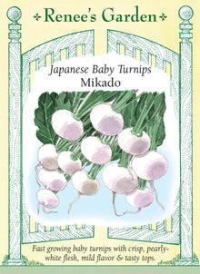 Visuel officiel de Renee's Garden pour les semences « Navet ‘Mikado’ », référence RN5884. ‘Mikado’ produit de petits navets ronds, à chair blanc nacré et croquante. Le semencier décrit une croissance rapide et une saveur douce. Les racines peuvent être tranchées pour les salades ou cuites rapidement. Les feuilles sont aussi proposées comme verdure à cuire. Cette référence correspond bien à un navet miniature.