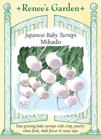 Visuel officiel de Renee's Garden pour les semences « Navet ‘Mikado’ », référence RN5884. ‘Mikado’ produit de petits navets ronds, à chair blanc nacré et croquante. Le semencier décrit une croissance rapide et une saveur douce. Les racines peuvent être tranchées pour les salades ou cuites rapidement. Les feuilles sont aussi proposées comme verdure à cuire. Cette référence correspond bien à un navet miniature.