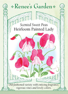 Visuel officiel de Renee's Garden associé aux semences de Pois de senteur ‘Painted Lady’, référence RN5917. Cette variété ancienne porte des fleurs bicolores dans des tons de rose, de rose pastel et de crème. Les fleurs parfumées apparaissent tôt sur des tiges grimpantes vigoureuses. La variété est reconnue par le semencier pour sa tolérance à la chaleur.
