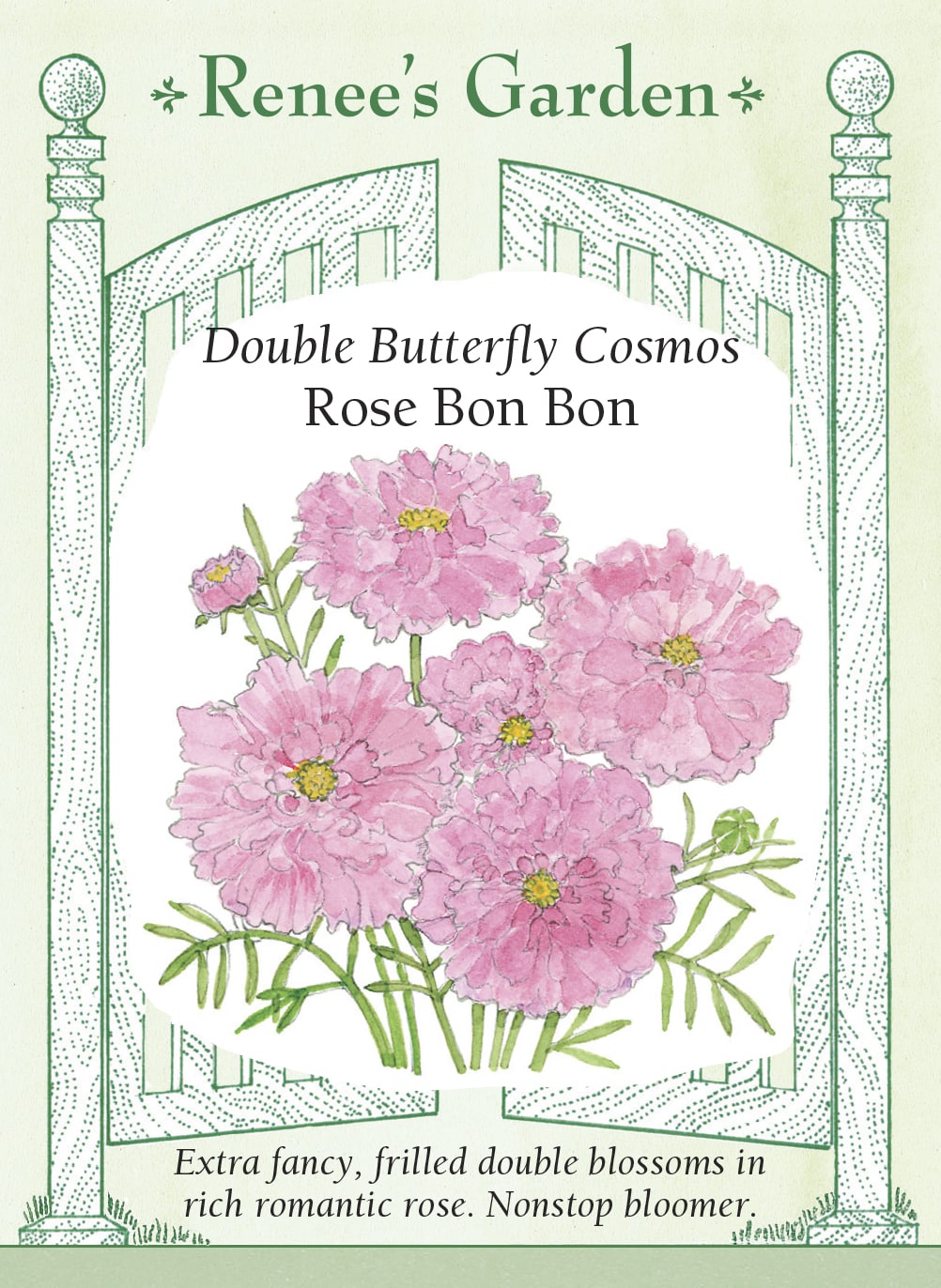 Visuel officiel de Renee's Garden associé aux semences de Cosmos ‘Rose Bon Bon’, référence RN5920. Ce cosmos porte des fleurs doubles roses, d’environ 8 cm (3 po), aux nombreux pétales froncés. De longues tiges dominent le feuillage finement découpé. Le semencier souligne son intérêt pour les bouquets. Les fleurs donnent une masse plus fournie que celle des cosmos à corolle simple.