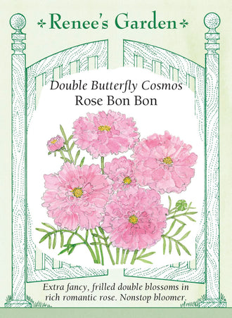 Visuel officiel de Renee's Garden associé aux semences de Cosmos ‘Rose Bon Bon’, référence RN5920. Ce cosmos porte des fleurs doubles roses, d’environ 8 cm (3 po), aux nombreux pétales froncés. De longues tiges dominent le feuillage finement découpé. Le semencier souligne son intérêt pour les bouquets. Les fleurs donnent une masse plus fournie que celle des cosmos à corolle simple.
