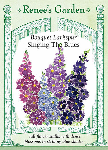 Visuel officiel de Renee's Garden associé aux semences de Pieds-d’alouette en mélange Singing the Blues, référence RN5921. Ce mélange porte des fleurs doubles bleues, bleu-violet, blanc bleuté ou blanches, sur des hampes de 90 à 120 cm (3 à 4 pi). Le semencier souligne leur intérêt pour la coupe et le séchage. Toutes les parties sont signalées comme toxiques si elles sont ingérées.