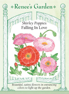 Visuel officiel de Renee's Garden associé aux semences de Coquelicots en mélange Falling in Love, référence RN5922. Les fleurs simples et doubles présentent des tons cramoisis, rouges, roses, blancs et pêche; certaines possèdent une bordure contrastante. Les tiges souples atteignent environ 60 à 90 cm (2 à 3 pi). Le feuillage découpé souligne la légèreté de ce mélange.
