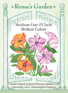 Visuel officiel de Renee's Garden associé aux semences de Belles-de-nuit en mélange Broken Colors, référence RN5923. Cette sélection produit des fleurs en trompette d’environ 5 cm (2 po), éclaboussées de couleurs contrastantes. Le semencier décrit un parfum doux et une floraison débutant au milieu de l’été. Les dessins changent d’une fleur à l’autre. Les plants ramifiés conviennent aux aménagements que l’on apprécie en fin de journée.