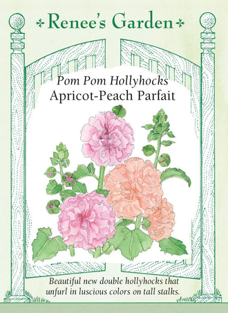 Visuel officiel de Renee's Garden associé aux semences de Roses trémières en mélange Apricot-Peach Parfait, référence RN5924. Ce mélange porte de grosses fleurs doubles abricot et pêche rosé, de 8 à 10 cm (3 à 4 po). Les hampes atteignent environ 1,5 à 2,1 m (5 à 7 pi). Le semencier le propose en fond de plate-bande ou près d’une clôture. Les fleurs s’ouvrent progressivement le long des tiges.