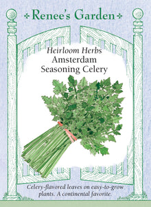 Visuel officiel de Renee's Garden associé aux semences de Céleri à couper d’Amsterdam, référence RN5926. Ce céleri se cultive pour ses feuilles lustrées et aromatiques, plutôt que pour de gros pétioles. Son apparence rappelle celle d’un persil italien développé. Le semencier décrit une saveur prononcée de céleri. Les feuilles peuvent aromatiser les soupes et les mijotés, ou être séchées pour un usage ultérieur.