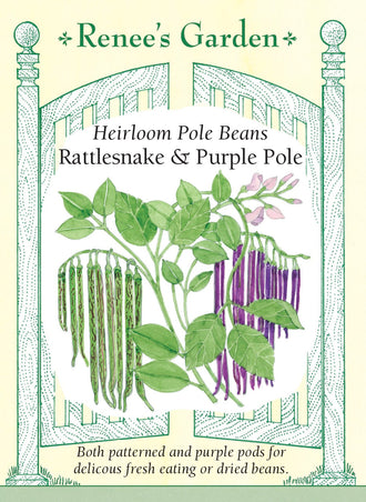 Visuel officiel de Renee's Garden pour les semences « Haricots grimpants en mélange Rattlesnake et Purple », référence RN5930. Deux types de haricots grimpants sont réunis dans cette sélection : des gousses panachées de type ‘Rattlesnake’ et des gousses pourpres. Le premier peut se récolter jeune comme haricot frais ou être laissé à maturité pour obtenir des grains secs. Les gousses pourpres sont décrites comme longues et tendres.