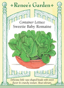 Visuel officiel de Renee's Garden pour les semences « Laitue ‘Sweetie Baby’ », référence RN5931. Cette mini romaine forme des pommes vertes en forme de vase, hautes d’environ 15 à 20 cm (6 à 8 po). Le semencier décrit une texture croquante et une saveur douce. Son port compact convient aux contenants et aux petits espaces. Les pommes peuvent être récoltées pour les salades individuelles ou les garnitures de sandwichs.