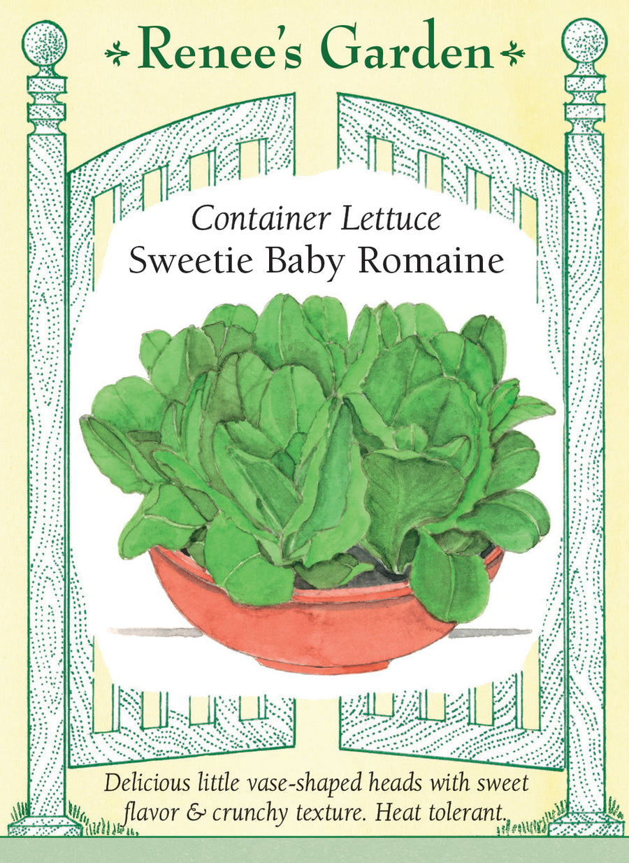 Visuel officiel de Renee's Garden pour les semences « Laitue ‘Sweetie Baby’ », référence RN5931. Cette mini romaine forme des pommes vertes en forme de vase, hautes d’environ 15 à 20 cm (6 à 8 po). Le semencier décrit une texture croquante et une saveur douce. Son port compact convient aux contenants et aux petits espaces. Les pommes peuvent être récoltées pour les salades individuelles ou les garnitures de sandwichs.